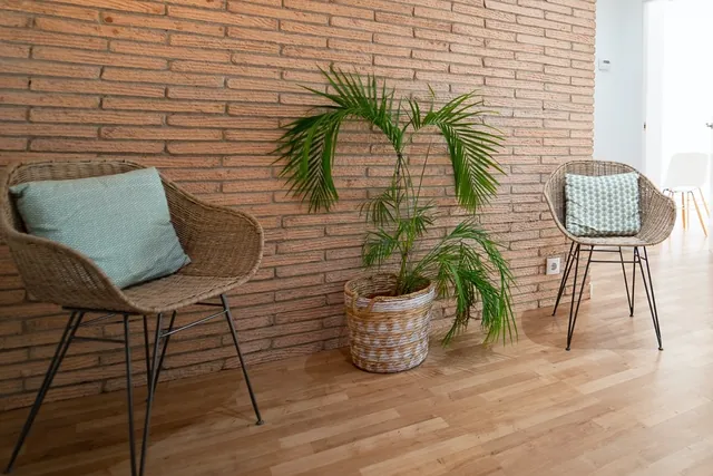 Sala d'espera · Paret de maó, plantes i cadires de vímet